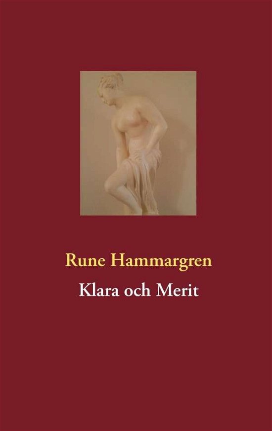 Cover for Rune Hammargren · Klara och Merit (Paperback Bog) [Swedish edition] (2014)