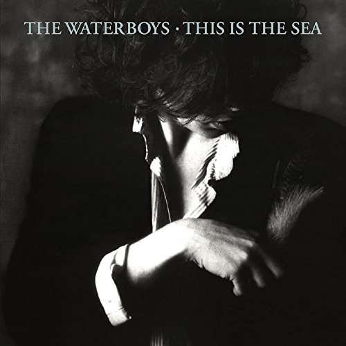 Cover for Waterboys · This is the Sea (CD) (2017)