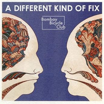 Cover for Bombay Bicycle Club · Different Kind of Fix (CD) (2011)