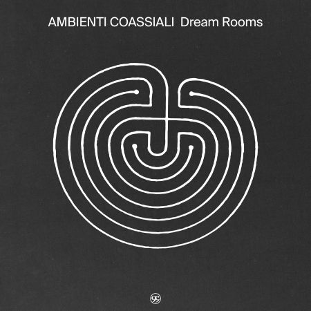 Cover for Ambienti Coassiali · Dream Rooms (LP) (2023)