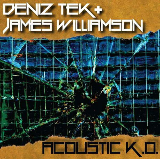 Cover for Deniz Tek · Acousitc K.O. (LP) (2017)