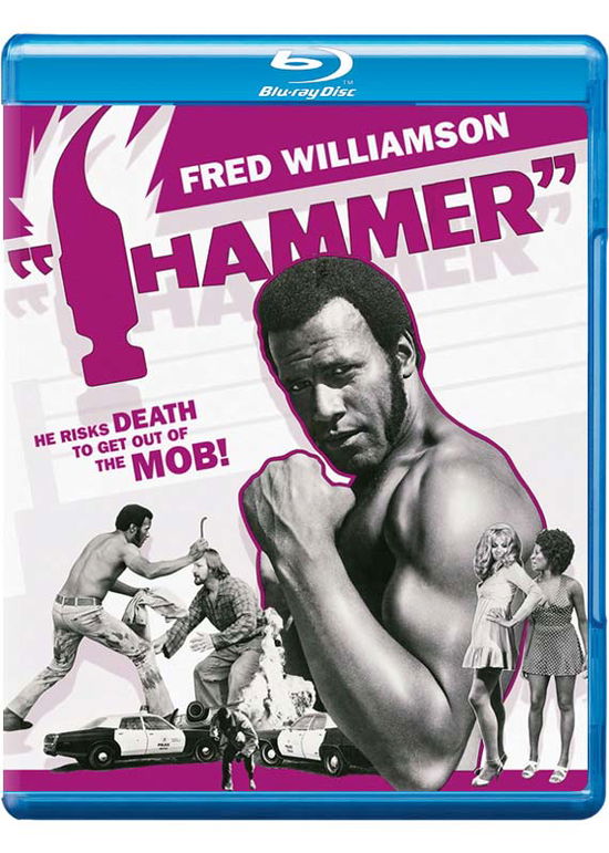 Cover for Hammer (Blu-Ray) (2015)