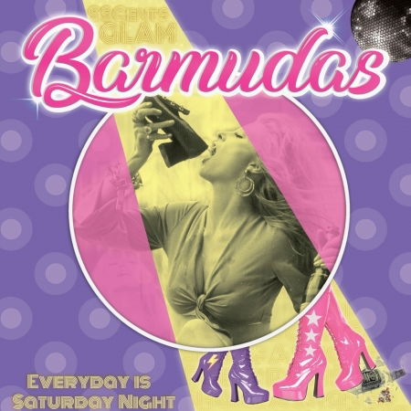 Cover for Barmudas · Everyday Is A Saturday Night (LP)