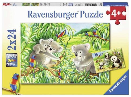 Ravensburger: My First Puzzle: Dolci Koala E Panda (Puzzle 2x24 Pz) - Ravensburger - Merchandise - Ravensburger - 4005556078202 - February 26, 2019
