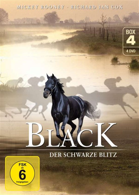 Black, der schwarze Blitz - Box 4 (Neuauflage) (4 DVDs) - Movie - Musik - Koch Media - 4020628787202 - 24. april 2017