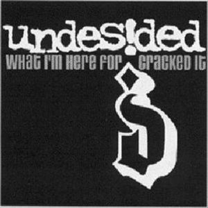 What I'm Here for - Undesided - Music - DETOUR RECORDS - 5032733001202 - January 28, 2022