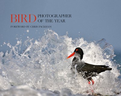 Cover for Bird Photographer of the Year · Bird Photographer of the Year: Collection 5 - Bird Photographer of the Year (Hardcover bog) (2020)
