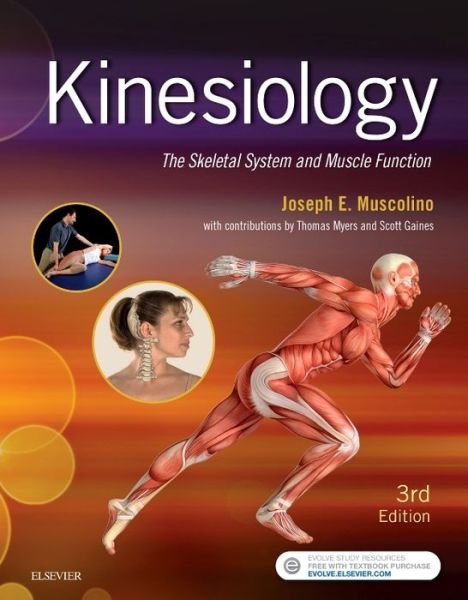 Cover for Muscolino, Joseph E. (Instructor, Purchase College, State University of New York, Purchase, New York; Owner, The Art and Science of Kinesiology, Redding, Connecticut) · Kinesiology: The Skeletal System and Muscle Function (Pocketbok) (2016)