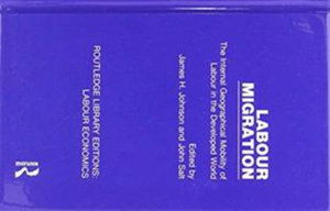 Labour Migration: The Internal Geographical Mobility of Labour in the Developed World - Routledge Library Editions: Labour Economics - - Books - Taylor & Francis Ltd - 9780367026202 - November 27, 2018