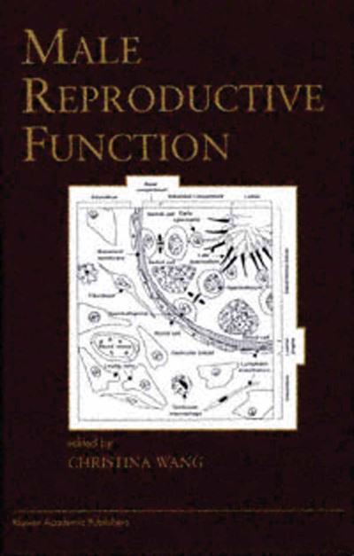 Cover for Christina Wang · Male Reproductive Function - Endocrine Updates (Hardcover Book) (1999)