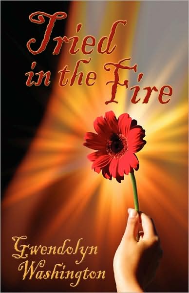 Cover for Gwendolyn Washington · Tried in the Fire (Paperback Book) (2006)