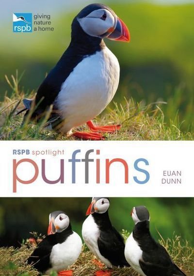 Cover for Euan Dunn · RSPB Spotlight: Puffins - RSPB (Pocketbok) (2018)