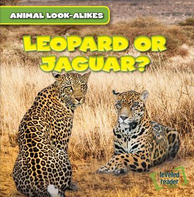 Cover for Rob Ryndak · Leopard or Jaguar? (Paperback Book) (2015)