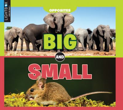 Cover for Emilie Dufresne · Big and Small (Hardcover Book) (2019)