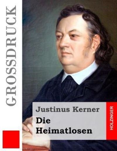 Cover for Justinus Kerner · Die Heimatlosen (Pocketbok) (2016)