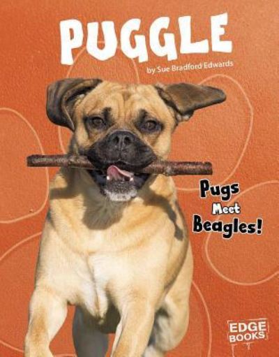 Puggle Pugs Meet Beagles! - Sue Bradford Edwards - Książki - Capstone Press - 9781543555202 - 2019