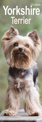 Yorkshire Terrier Slim Calendar 2025 Dog Breed Slimline Calendar - 12 Month (Kalender) (2024)