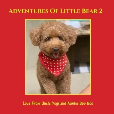 Cover for Boo Boo Auntie Boo Boo · Adventures of Little Bear 2 (Paperback Book) (2021)