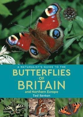 Cover for Ted Benton · A Naturalist's Guide to the Butterflies of Britain and Northern Europe (2nd edition) - Naturalist's Guide (Taschenbuch) [2 Revised edition] (2019)