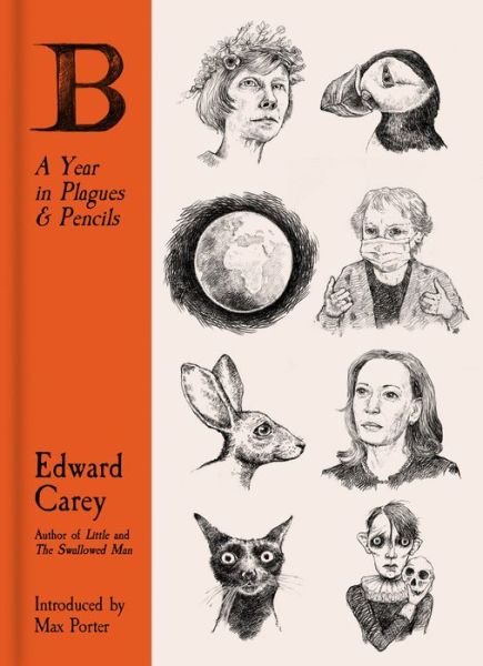 Cover for Edward Carey · B: A Year in Plagues and Pencils (Hardcover Book) (2021)