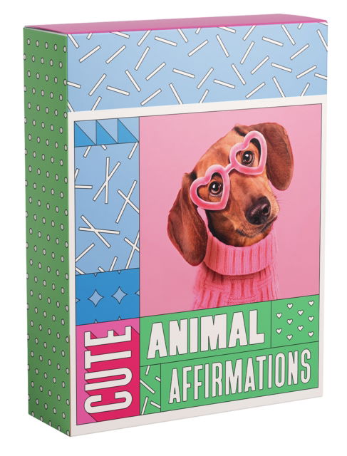 Cute Animal Affirmations: Positive vibes from the goodest boys in the animal kingdom - Smith Street Books - Books - Smith Street Books - 9781922754202 - February 1, 2023