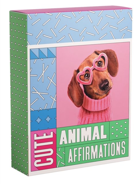 Cover for Smith Street Books · Cute Animal Affirmations: Positive vibes from the goodest boys in the animal kingdom (Flashcards) (2023)