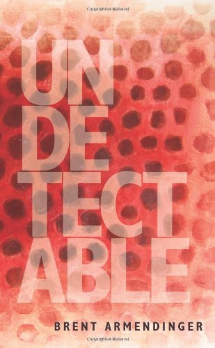 Undetectable - Brent Armendinger - Books - New Michigan Press - 9781934832202 - December 1, 2009