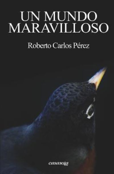 Cover for Roberto Carlos Perez · Un mundo maravilloso (Paperback Book) (2017)