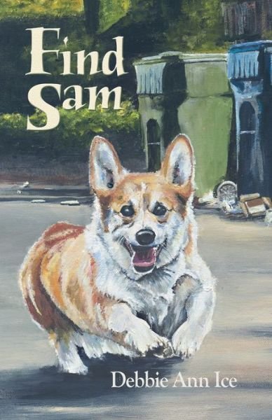 Cover for Debbie Ann Ice · Find Sam (Paperback Book) (2019)