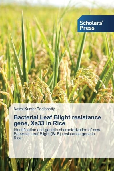 Cover for Natraj Kumar Podishetty · Bacterial Leaf Blight Resistance Gene, Xa33 in Rice: Identification and Genetic Characterization of New Bacertial Leaf Blight (Blb) Resistance Gene in Rice (Paperback Book) (2014)