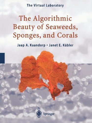 Cover for Jaap A. Kaandorp · The Algorithmic Beauty of Seaweeds, Sponges and Corals - the Virtual Laboratory (Paperback Book) [Softcover Reprint of Hardcover 1st Ed. 2001 edition] (2010)