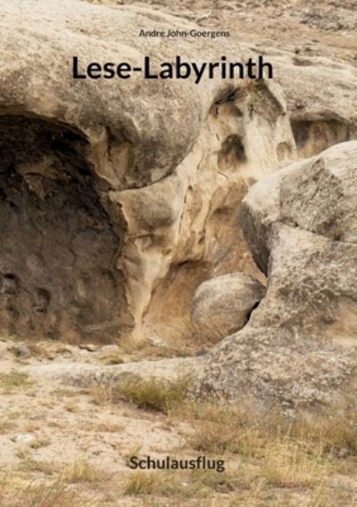 Cover for Andre John-Goergens · Lese-Labyrinth (Paperback Book) (2022)