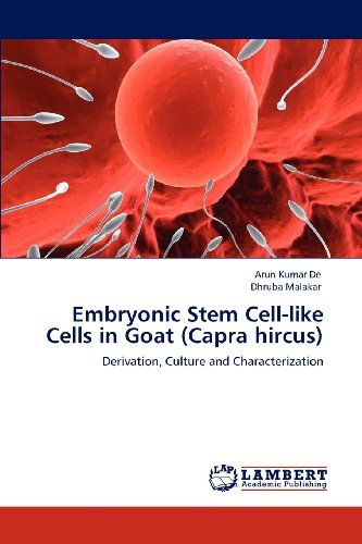 Cover for Dhruba Malakar · Embryonic Stem Cell-like Cells in Goat (Capra Hircus): Derivation, Culture and Characterization (Paperback Bog) (2012)