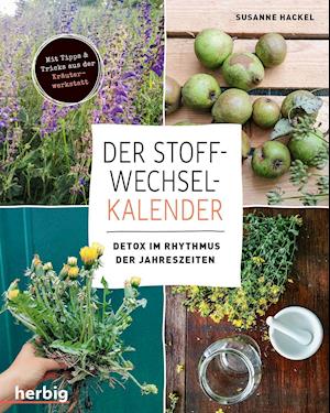 Cover for Susanne Hackel · Der Stoffwechsel-Kalender (Paperback Book) (2022)