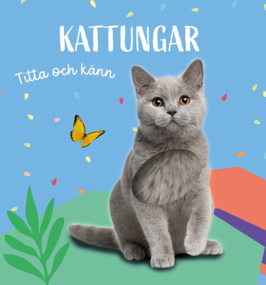 Titta och känn: Kattungar -  - Książki - Tukan Förlag - 9789180383202 - 1 sierpnia 2024