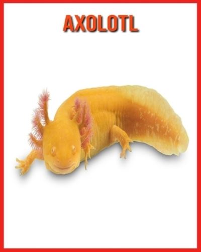 Cover for Annie Nichols · Axolotl (Paperback Book) (2021)