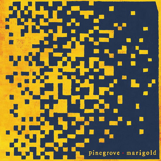 Cover for Pinegrove · Marigold (LP) [Coloured edition] (2020)