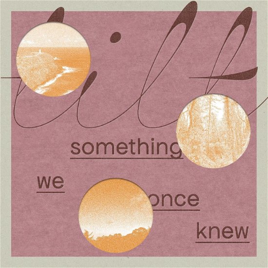 Something We Once Knew - Tilt - Muziek - DEAR LIFE RECORDS - 0198168778203 - 3 mei 2024