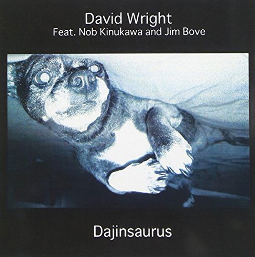 Cover for David Wright · Dajinosaurus (CD) (2006)