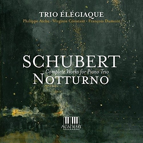 Complete works for piano trio - Trio Elegiaque - Musik - ACADEMY PRODUCTION - 3770004972203 - 19 januari 2018