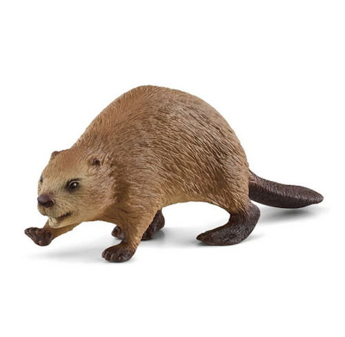 Cover for Schleich · Schleich Wild Life Bever 14855 (Toys)