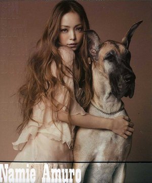 Sit ! Stay ! Wait ! Down !/love Story - Namie Amuro - Musik - IMT - 4719760096203 - 7. august 2012