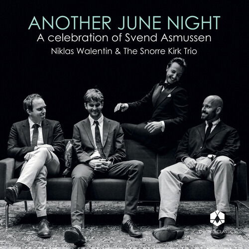 Cover for Niklas Walentin · Another June Night (LP) (2025)