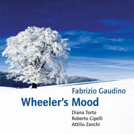 Cover for Fabrizio Gaudino · Wheeler's Mood (CD) (2013)