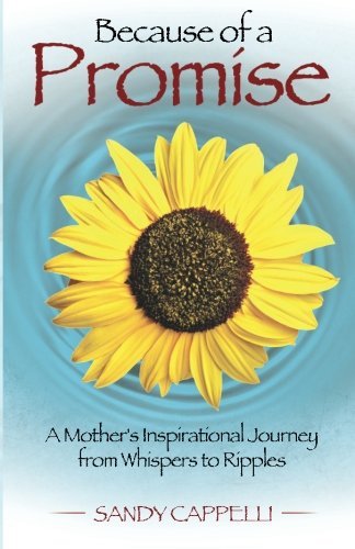 Sandy Cappelli · Because of a Promise: a Mother's Spiritual Journey from Whispers to Ripples (Pocketbok) (2013)