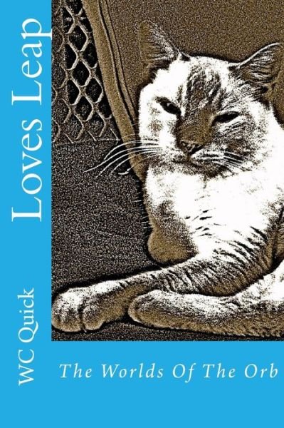 Cover for Wc Quick · Loves Leap (Pocketbok) (2016)