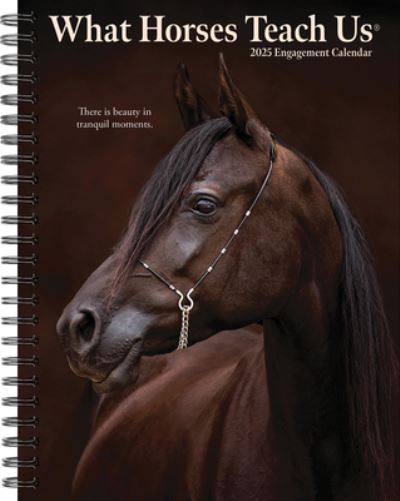 Willow Creek Press · What Horses Teach Us 2025 6.5 X 8.5 Engagement Calendar (Calendar) (2024)