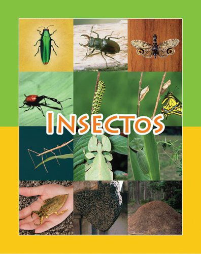 Cover for Amy White · Insectos (Guided Reading G: Facil De Leer) (Spanish Edition) (Coleccion Facil De Leer (Easy Readers K-2)) (Paperback Book) (2009)