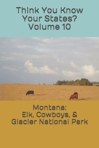 Cover for Chelsea Falin · Montana (Pocketbok) (2019)