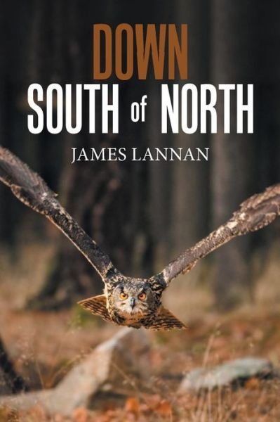 James Lannan · Down South of North (Pocketbok) (2019)